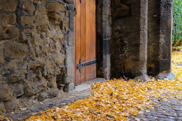 Autumn leaves seen strewn near an ancient, wooden door at the entrance to a thick-walled stone medieval building. A green courtyard is visible to the right. 