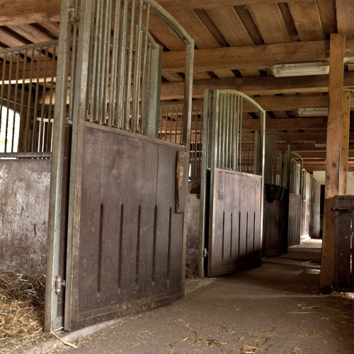 Empty stable with large animal pens on either side of a walkway. The doors are open to the pens and straw lines the floor of each pen. The walkway lead back to more animal pens in the back.
