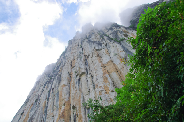 Photo looking up at the sky along a steep, high ridge of a canyon. Clouds hide the top of the ridge and a tree fills the bottom right showing the enormous scale of the rock wall.