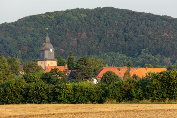 Brown fields of cut wheat in the foreground our in front of a row of young trees. Behind the trees the tops of buildings and a clock tower show the existance of a town. The Village of Herleshausen in Germany