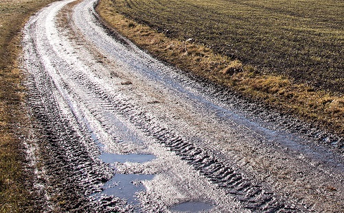Muddy road through a field with the sun shining down