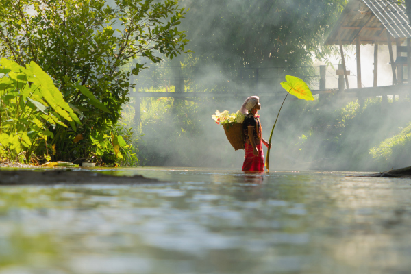 Karen tribe old woman with traditional dress carrying flowers basket walking on stream lake with green jungle forest. Nature landscape. People lifestyle. 