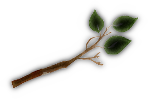 Twig with leaves watercolor illustration. Template for decorating designs and illustrations. Brown shaded branch extends to the right ending in three green leaves.