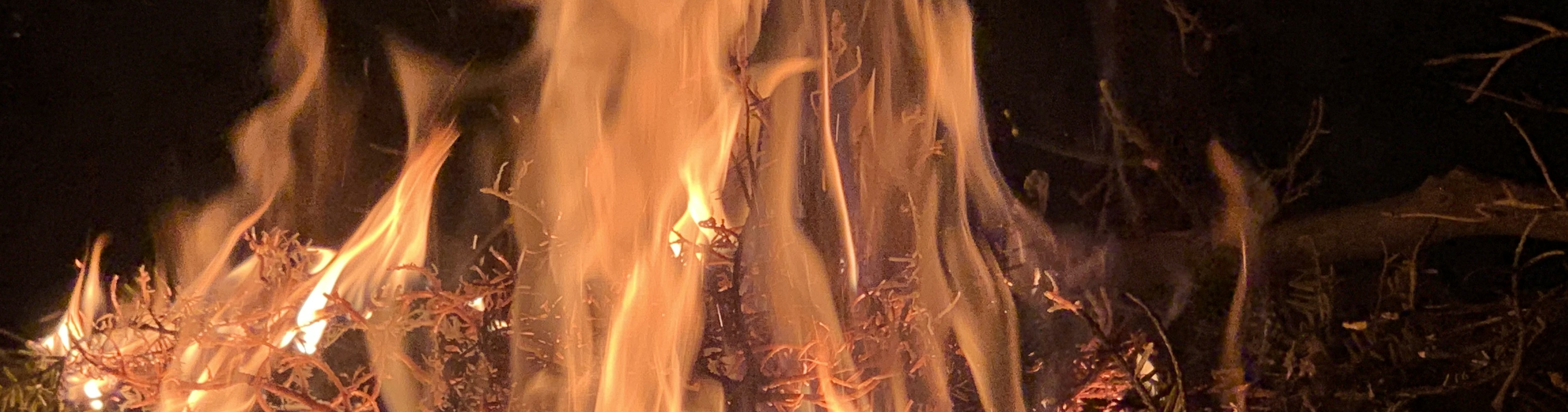 Close up picture of a fire. Thin branches are burning bright. The outline of the branches in the fire are red hot. Bright orange flame look like waves. 